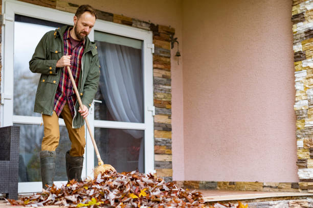 Debris Removal in Minnehaha, WA